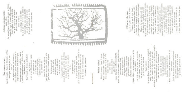 Giacomo Celentano : Dentro Al Bosco (CD, Album)
