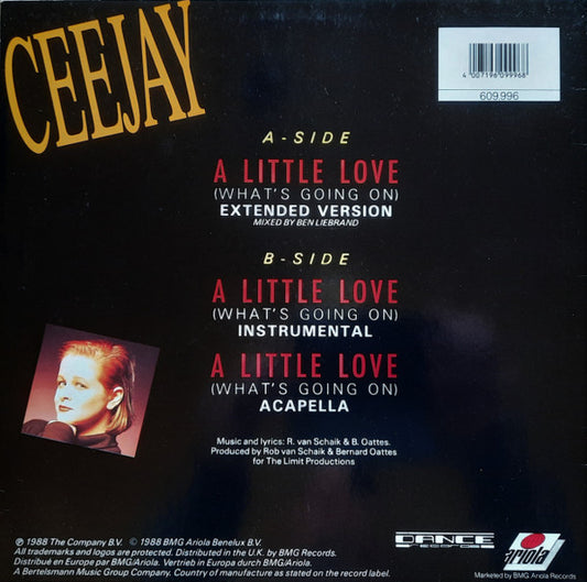 Ceejay : A Little Love (What's Going On) (12")