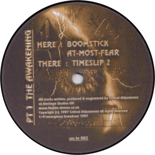 Critical Adjustment : Pt1 The Awakening (12")