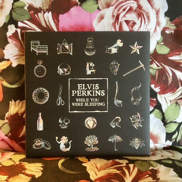 Elvis Perkins : While You Were Sleeping (7", Single)