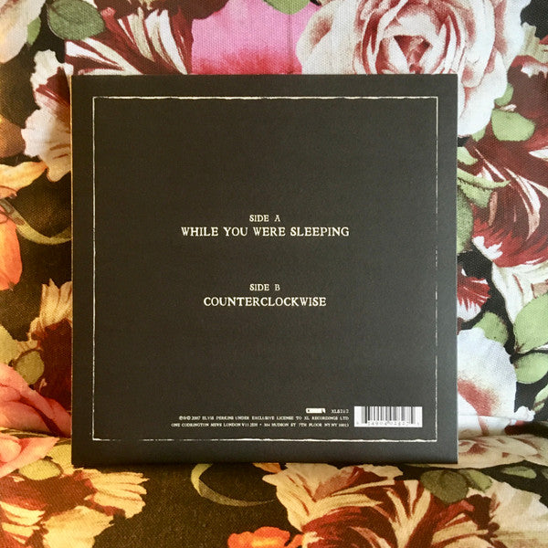 Elvis Perkins : While You Were Sleeping (7", Single)