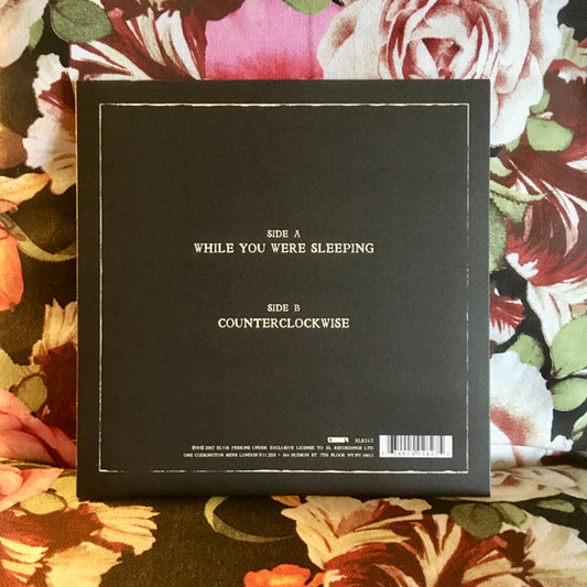 Elvis Perkins : While You Were Sleeping (7", Single)
