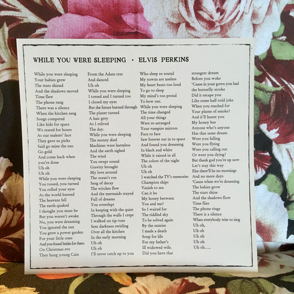 Elvis Perkins : While You Were Sleeping (7", Single)