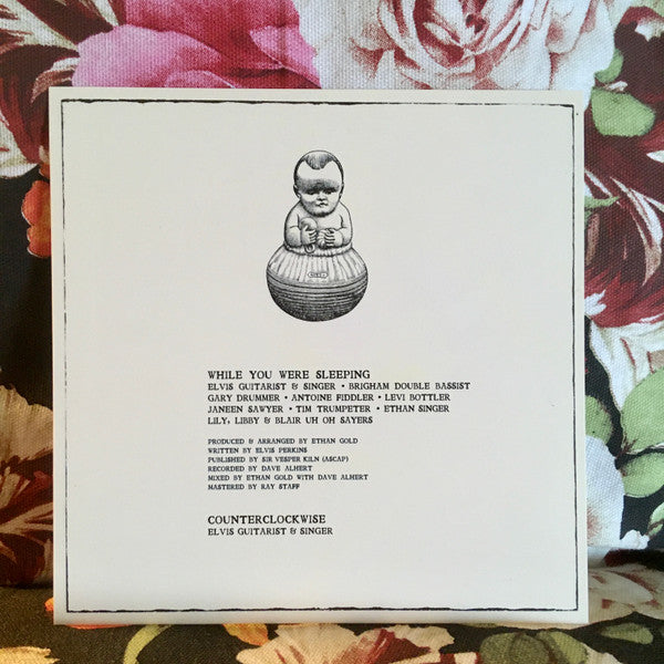 Elvis Perkins : While You Were Sleeping (7", Single)