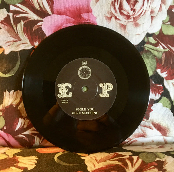 Elvis Perkins : While You Were Sleeping (7", Single)