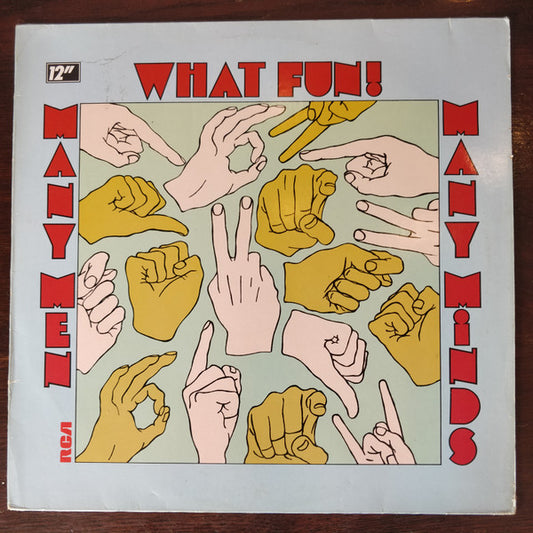 What Fun! : Many Men Many Minds (12")