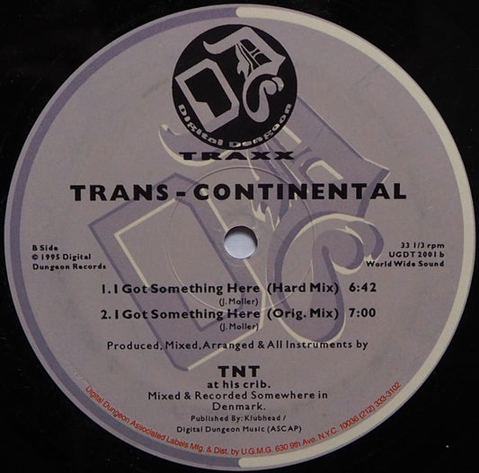 Trans-Continental : Hot Body Turns Me On (12")