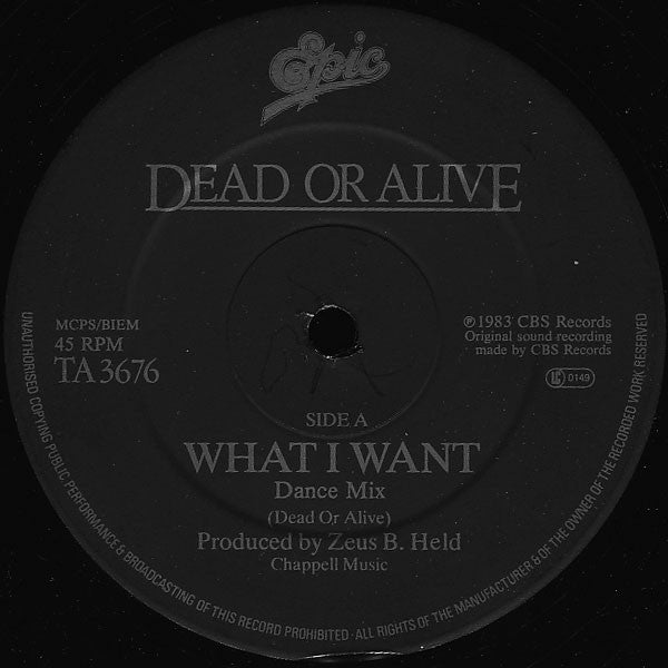 Dead Or Alive : What I Want (12", Single)