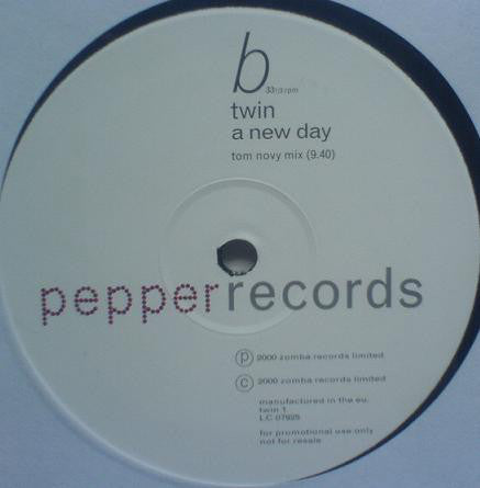 Twin : A New Day (12", Promo)