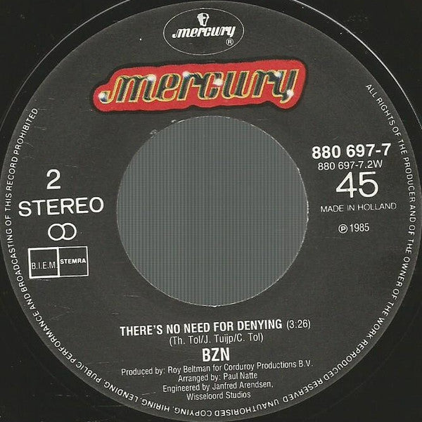 BZN : The Summertime (7", Single)