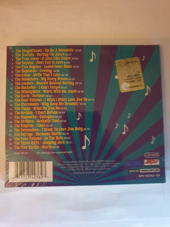 Various : Hesitatin' Fool (CD, Comp)