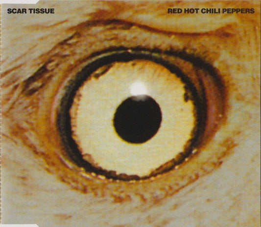 Red Hot Chili Peppers : Scar Tissue (CD, Single)