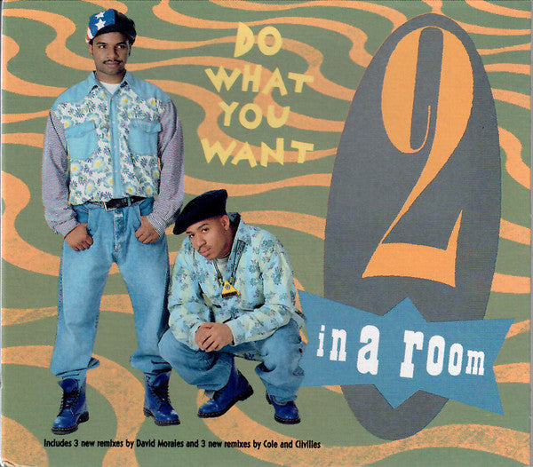 2 In A Room : Do What You Want (CD, Maxi)