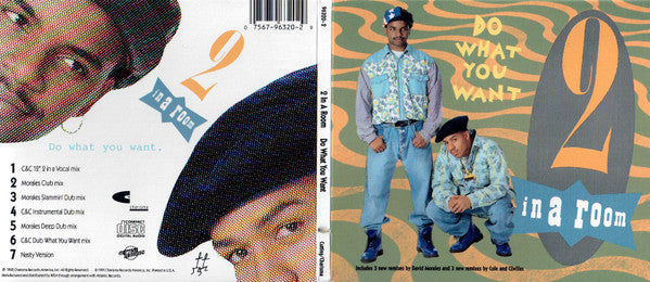 2 In A Room : Do What You Want (CD, Maxi)