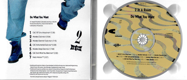 2 In A Room : Do What You Want (CD, Maxi)