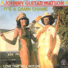 Johnny Guitar Watson : It's A Damn Shame (7")