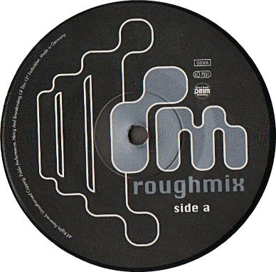 Paradise Raver : Conquest Of Paradise (12")