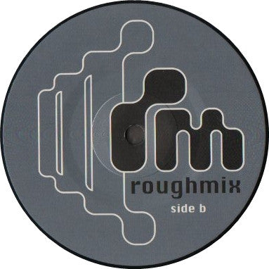Paradise Raver : Conquest Of Paradise (12")