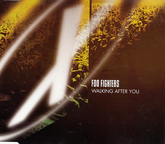Foo Fighters : Walking After You (CD, Single)