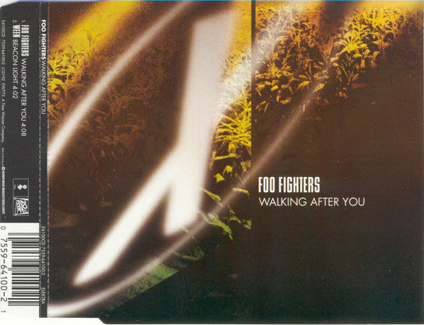 Foo Fighters : Walking After You (CD, Single)