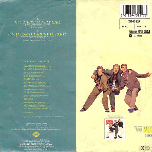 Big Fun : Hey There Lonely Girl (7", Single)