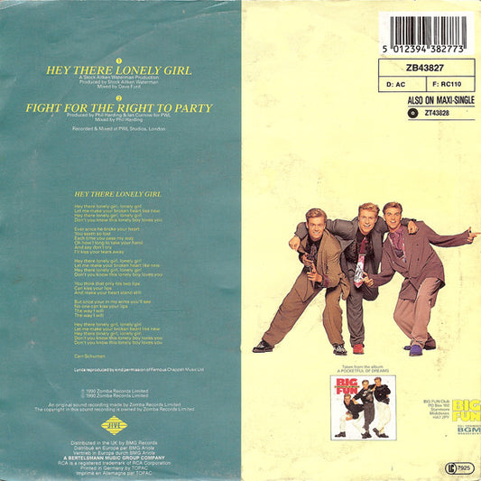 Big Fun : Hey There Lonely Girl (7", Single)