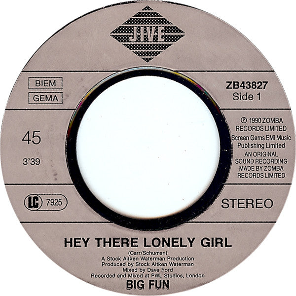 Big Fun : Hey There Lonely Girl (7", Single)