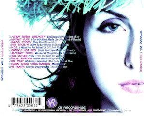 95 North : Vinylicious Vol. 1 (CD, Comp, Mixed)