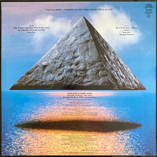 Love Unlimited Orchestra : Rise (LP, Album)