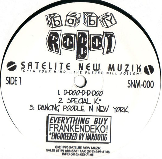 Baby Robot : The DJ Was Amazing (12")