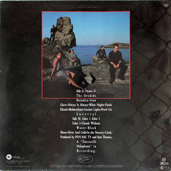 Psychic TV : Dreams Less Sweet (LP, Album)