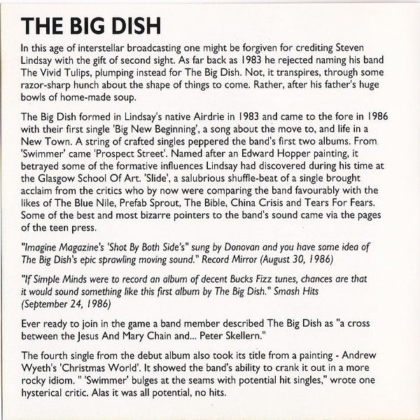 The Big Dish : Rich Man's Wardrobe - A Concise History Of the Big Dish (CD, Comp)