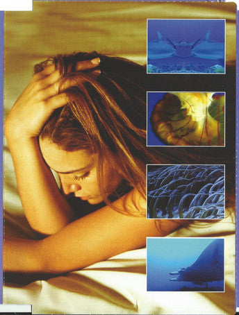 Various : The Velvet Lounge: The Ultimate Chill Out Experience (CD, Comp + DVD, Multichannel, NTSC, All)