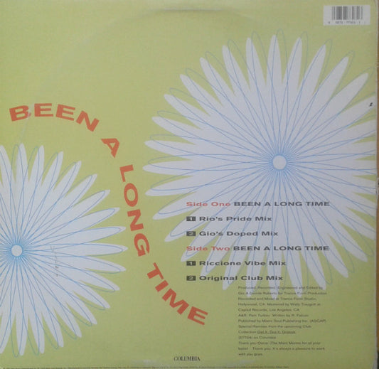 The Fog : Been A Long Time (12")