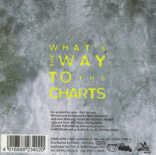 Jam (3) Featuring Natascha Wright : What's The Way To Your Heart (CD, Single, Promo, Car)