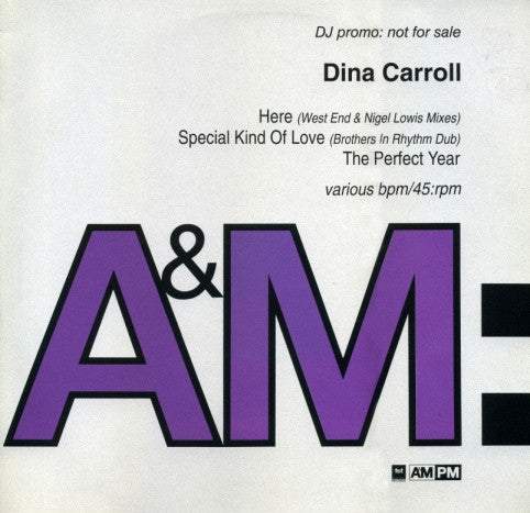 Dina Carroll : Here / Special Kind Of Love / The Perfect Year (2x12", Promo)