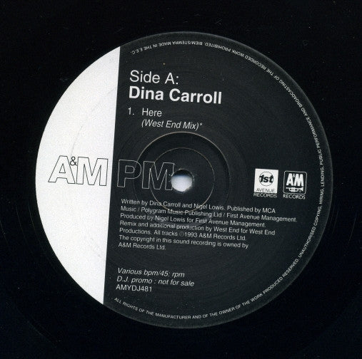Dina Carroll : Here / Special Kind Of Love / The Perfect Year (2x12", Promo)