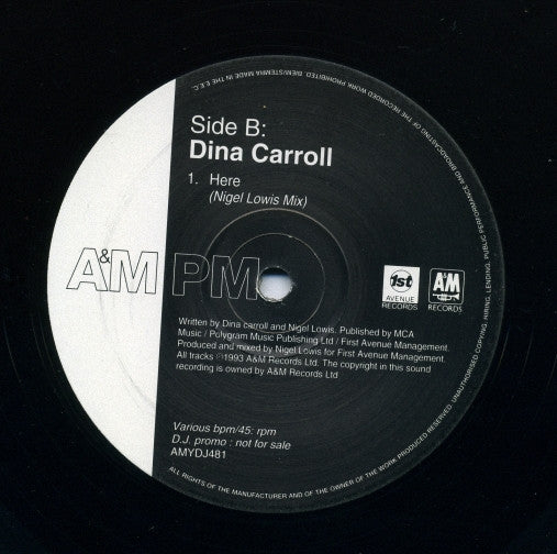 Dina Carroll : Here / Special Kind Of Love / The Perfect Year (2x12", Promo)