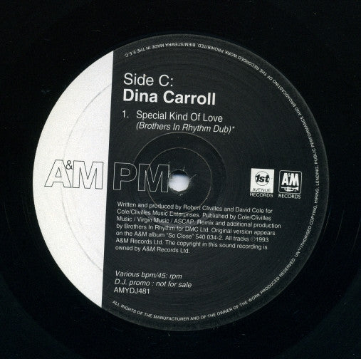 Dina Carroll : Here / Special Kind Of Love / The Perfect Year (2x12", Promo)