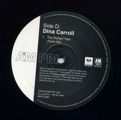 Dina Carroll : Here / Special Kind Of Love / The Perfect Year (2x12", Promo)