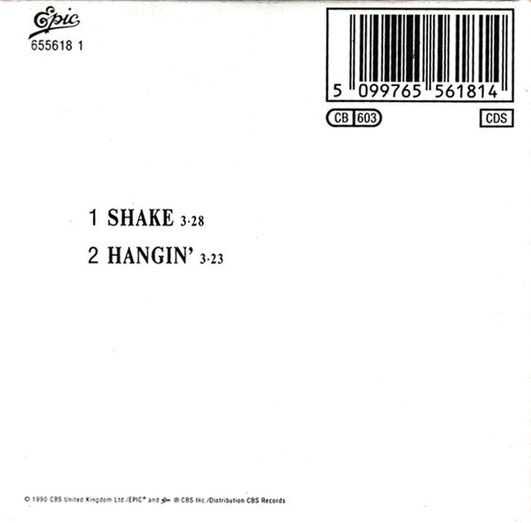 Andrew Ridgeley : Shake (CD, Mini, Single)