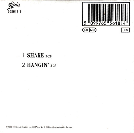 Andrew Ridgeley : Shake (CD, Mini, Single)