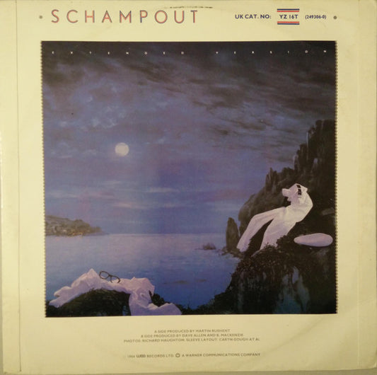 The Associates : Waiting For The Loveboat (12", Single)