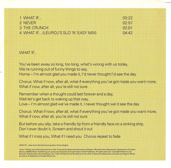 Lightning Seeds : What If... (CD, Maxi)