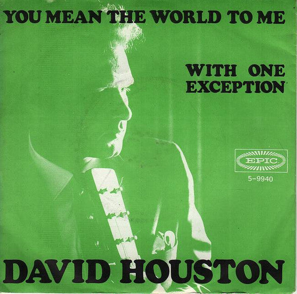 David Houston : You Mean The World To Me (7", Single)