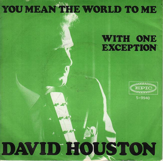David Houston : You Mean The World To Me (7", Single)