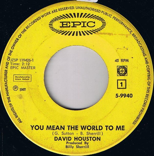 David Houston : You Mean The World To Me (7", Single)