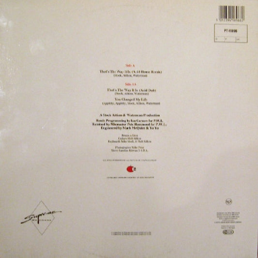 Mel & Kim : That's The Way It Is (Remix) (12")