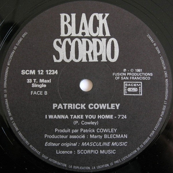 Patrick Cowley : Menergy (12", Maxi)