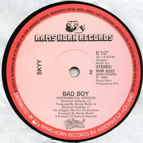 Skyy : Bad Boy (12", Single)